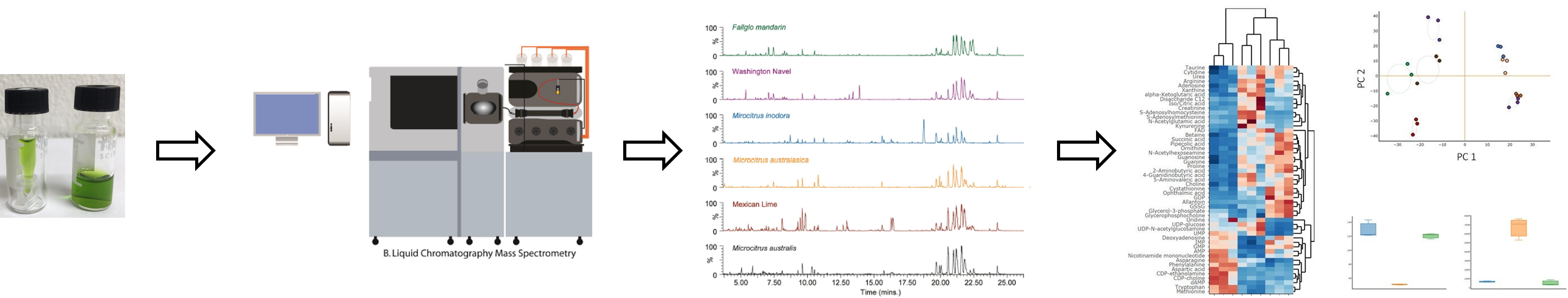 metabolomics workflow overview image