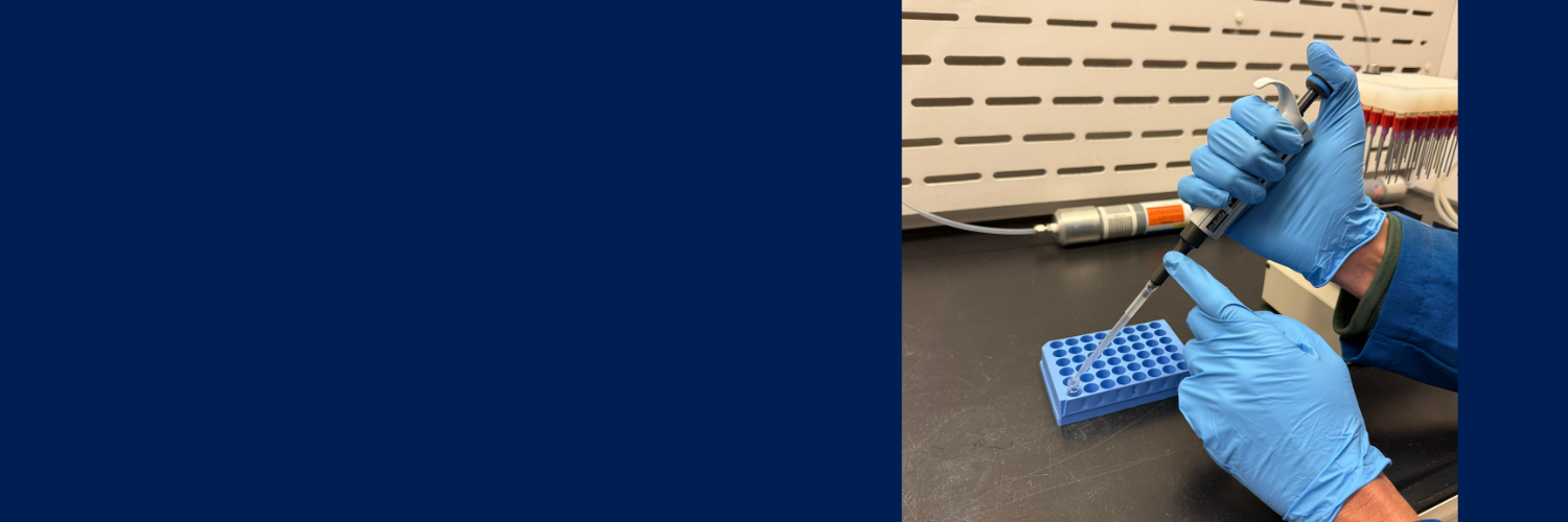 method highlight image