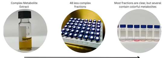 metabolite fractionation image