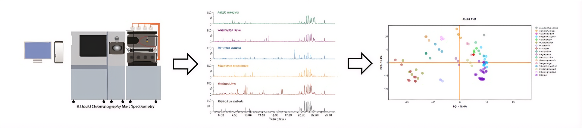 untargeted metabolomics