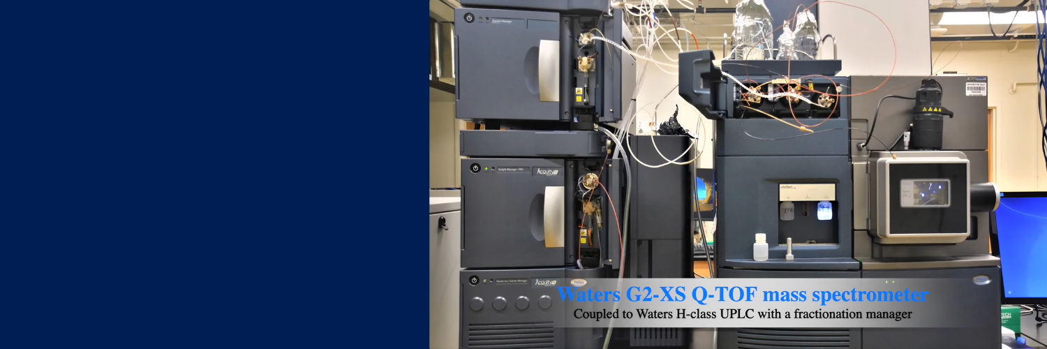 video overview image